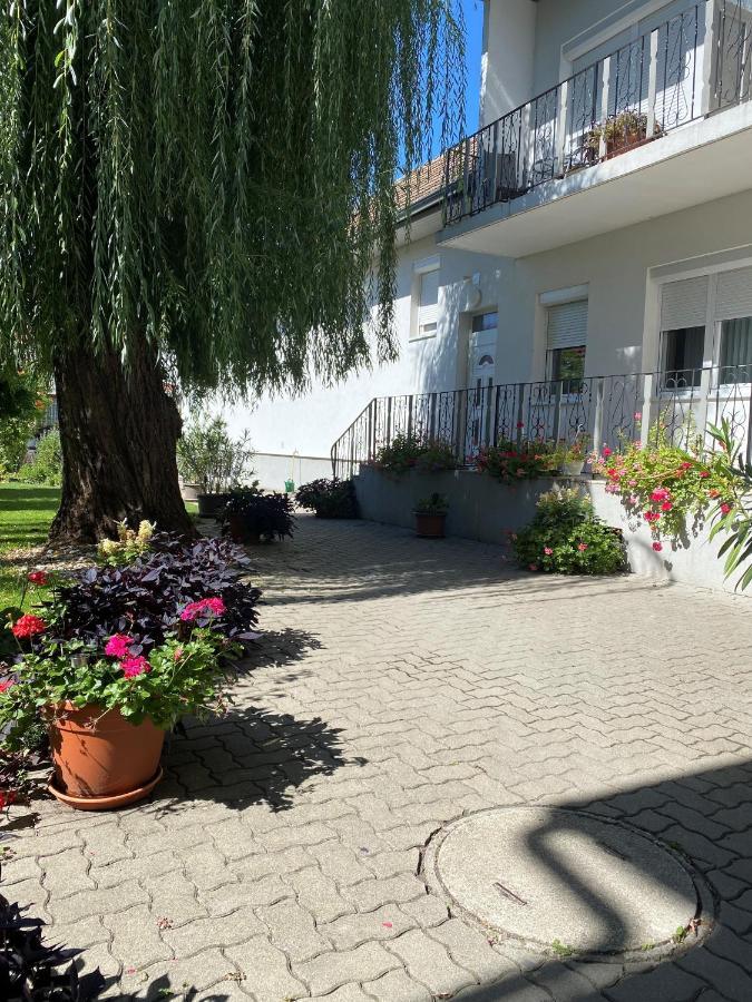 Gaestehaus & Weingut Klein Illmitz Zewnętrze zdjęcie